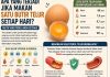 khasiat telur